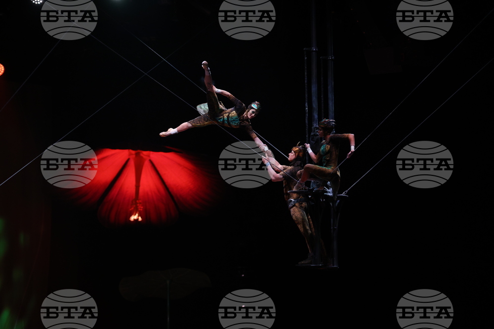 Cirque du Soleil - „Ovo“ - представление