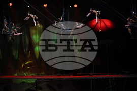 Cirque du Soleil - „Ovo“ - представление