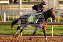 Kentucky Derby Horse Racing
