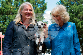 US Britain Royal Visit