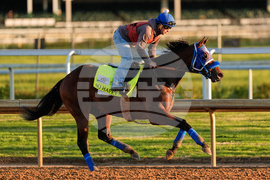 Kentucky Derby Horse Racing