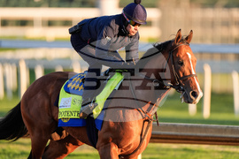 Kentucky Derby Horse Racing