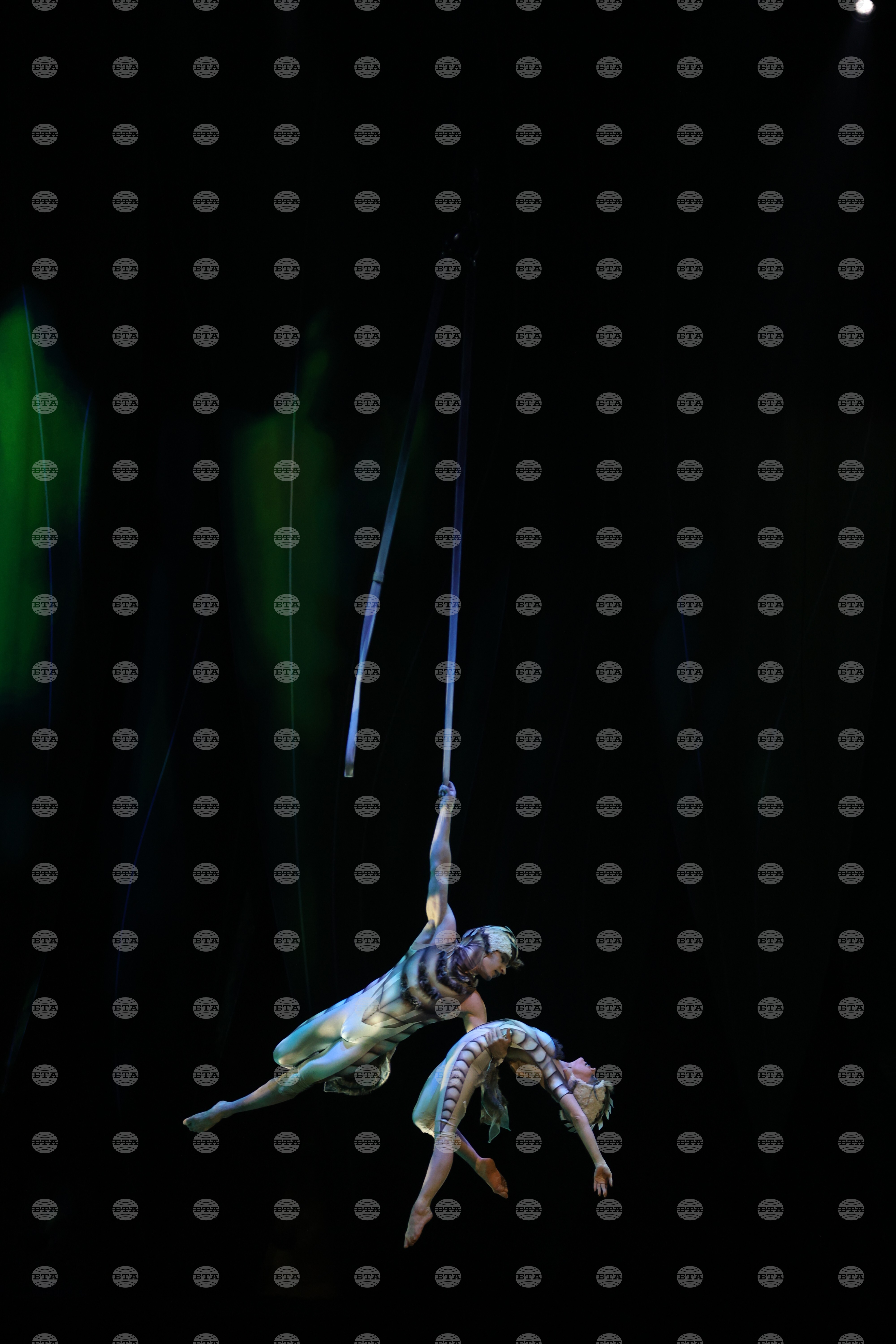 Cirque du Soleil - „Ovo“ - представление