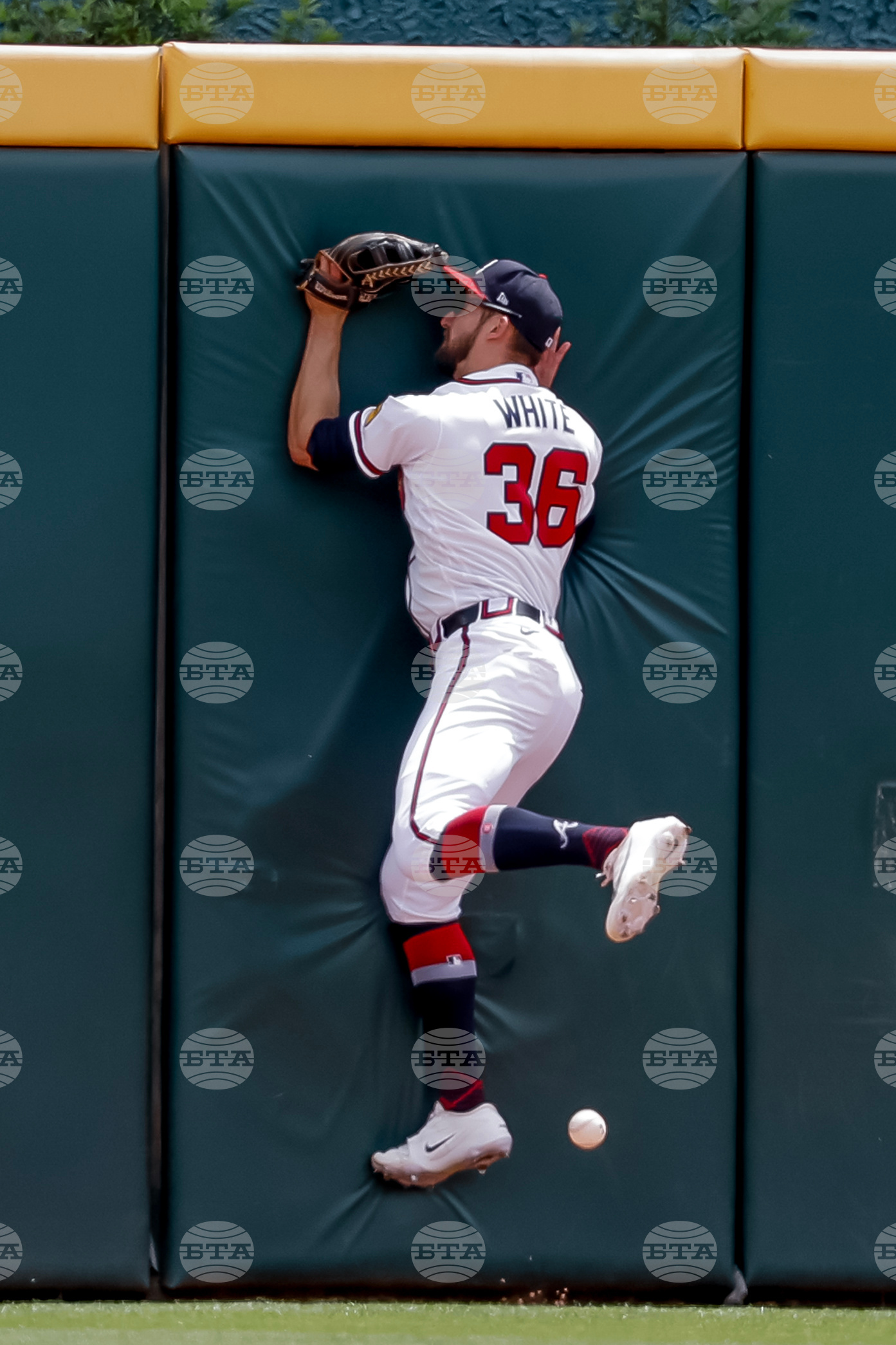 Tigers Braves Baseball