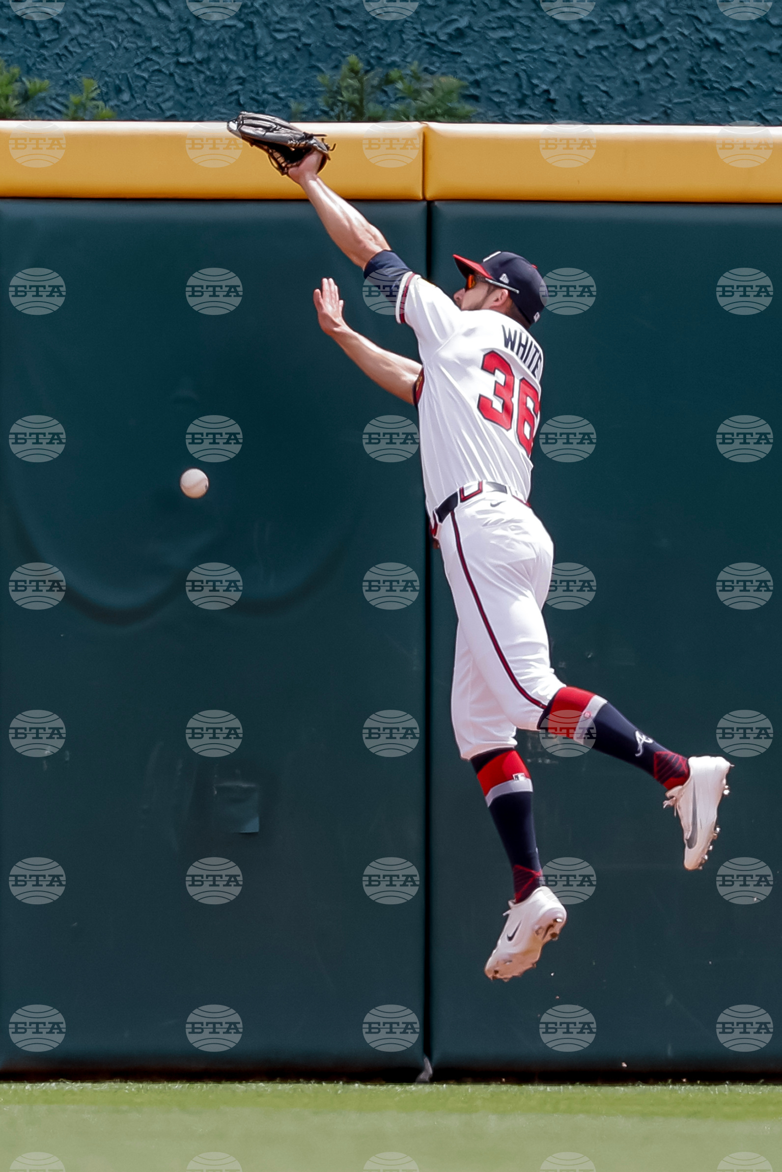 Tigers Braves Baseball