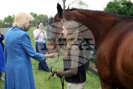 US Britain Royal Visit