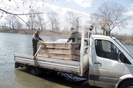 Ямбол - зарибяване