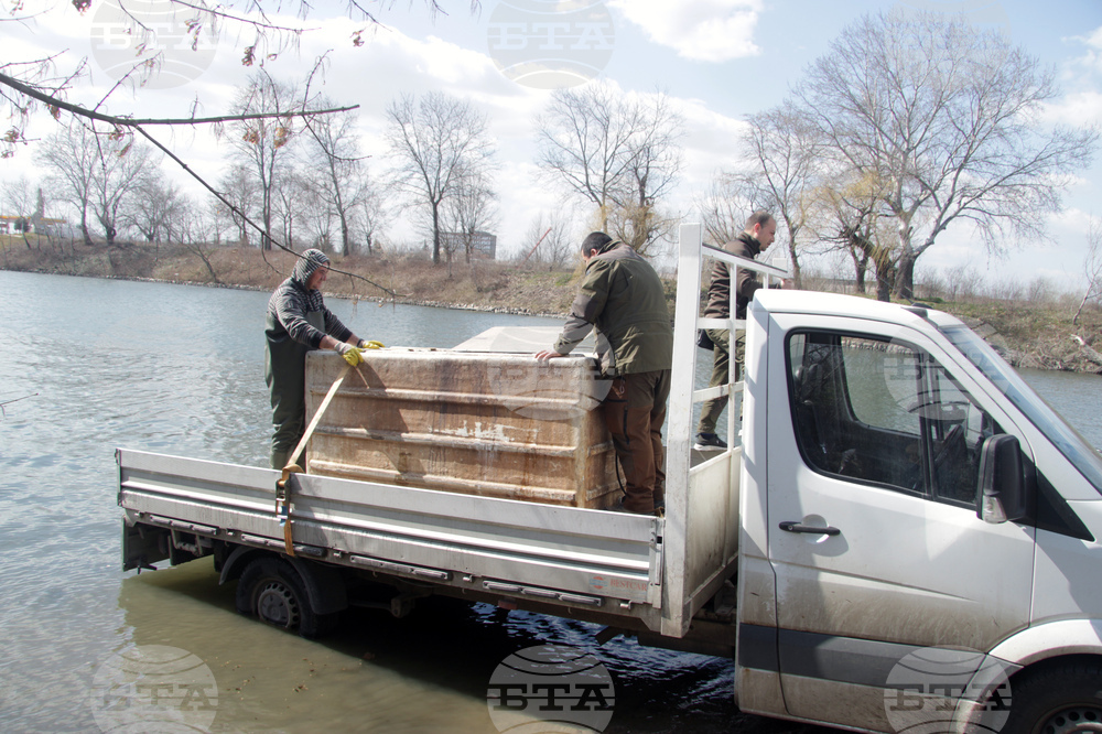 Ямбол - зарибяване