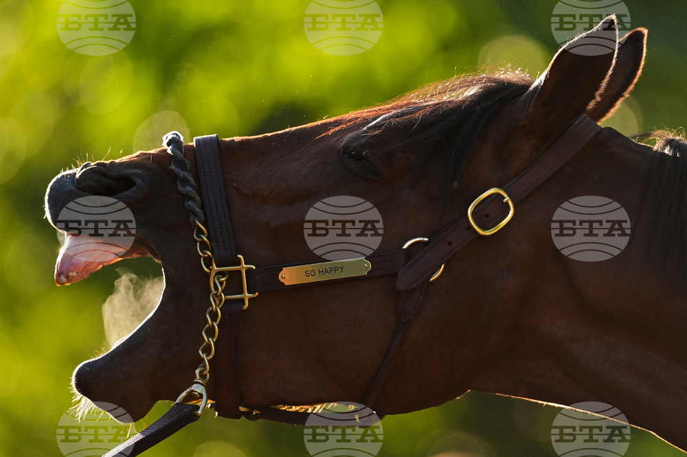 APTOPIX Kentucky Derby Horse Racing