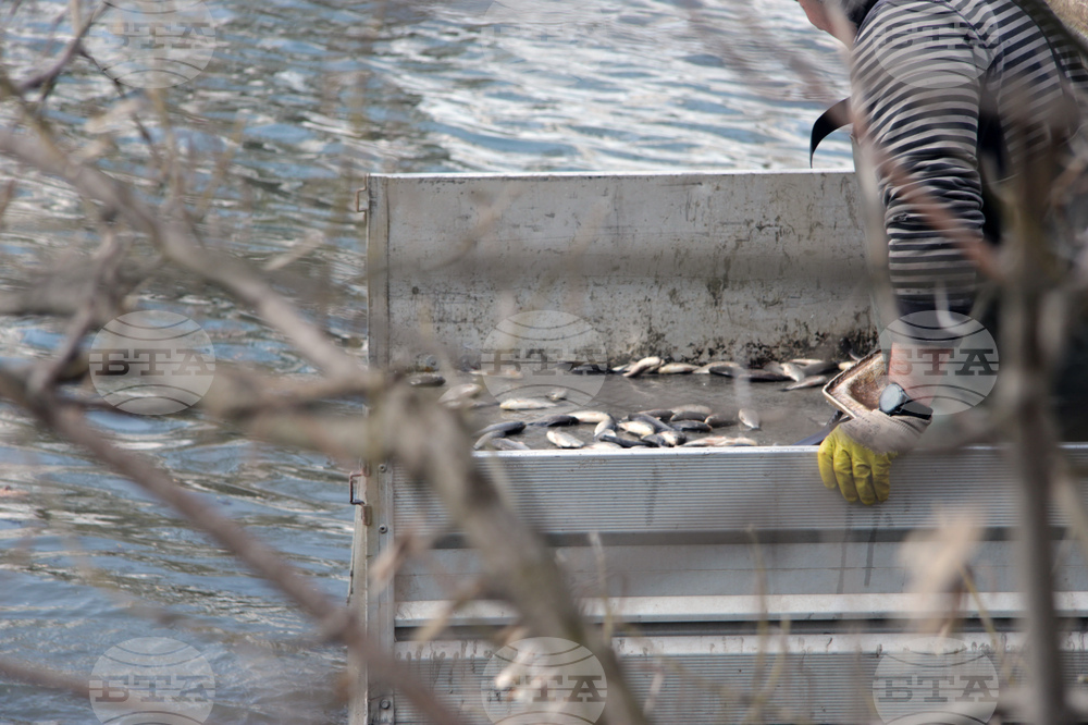 Ямбол - зарибяване
