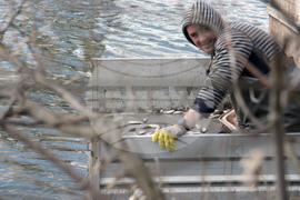 Ямбол - зарибяване