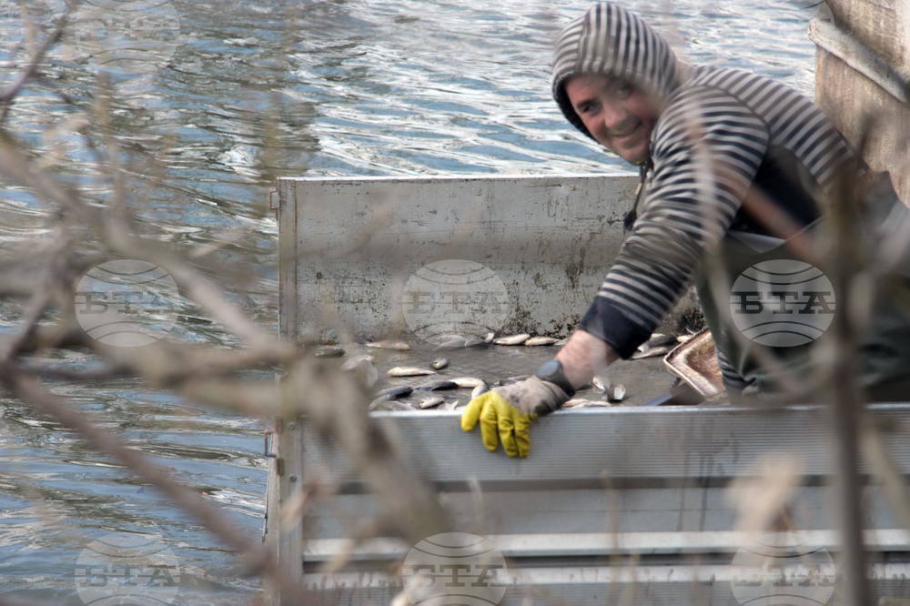 Ямбол - зарибяване