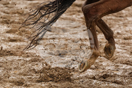 Pictures of the Week Global Photo Gallery