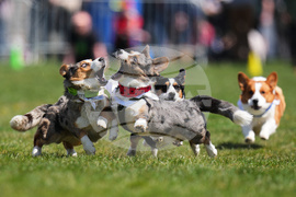 Pictures of the Week Global Photo Gallery