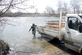 Ямбол - зарибяване