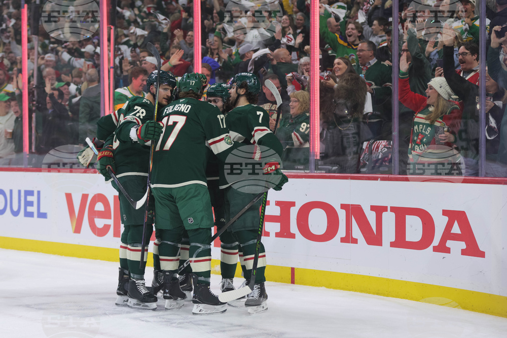 Stars Wild Hockey