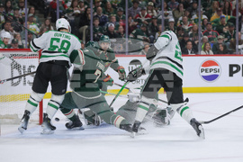 Stars Wild Hockey