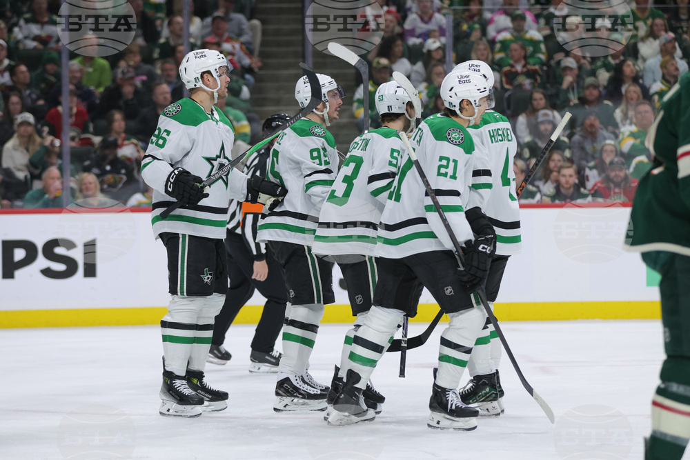 Stars Wild Hockey