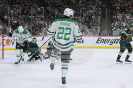 Stars Wild Hockey