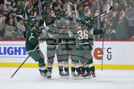 Stars Wild Hockey