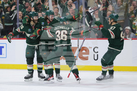 Stars Wild Hockey