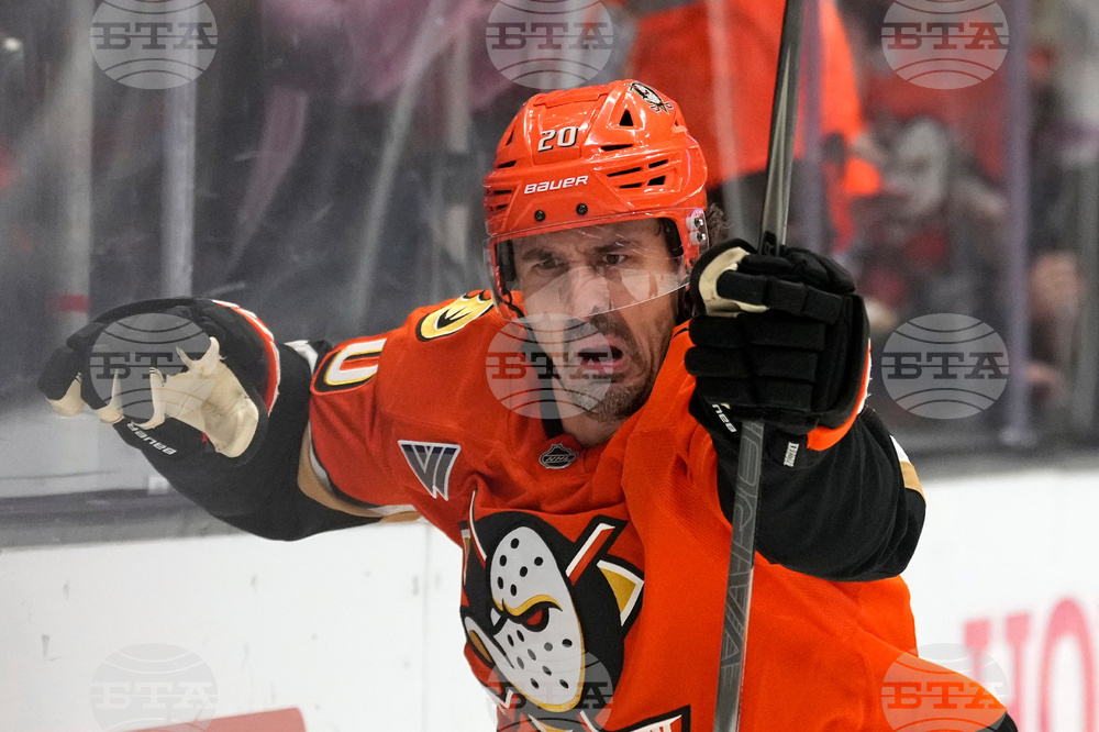 Oilers Ducks Hockey