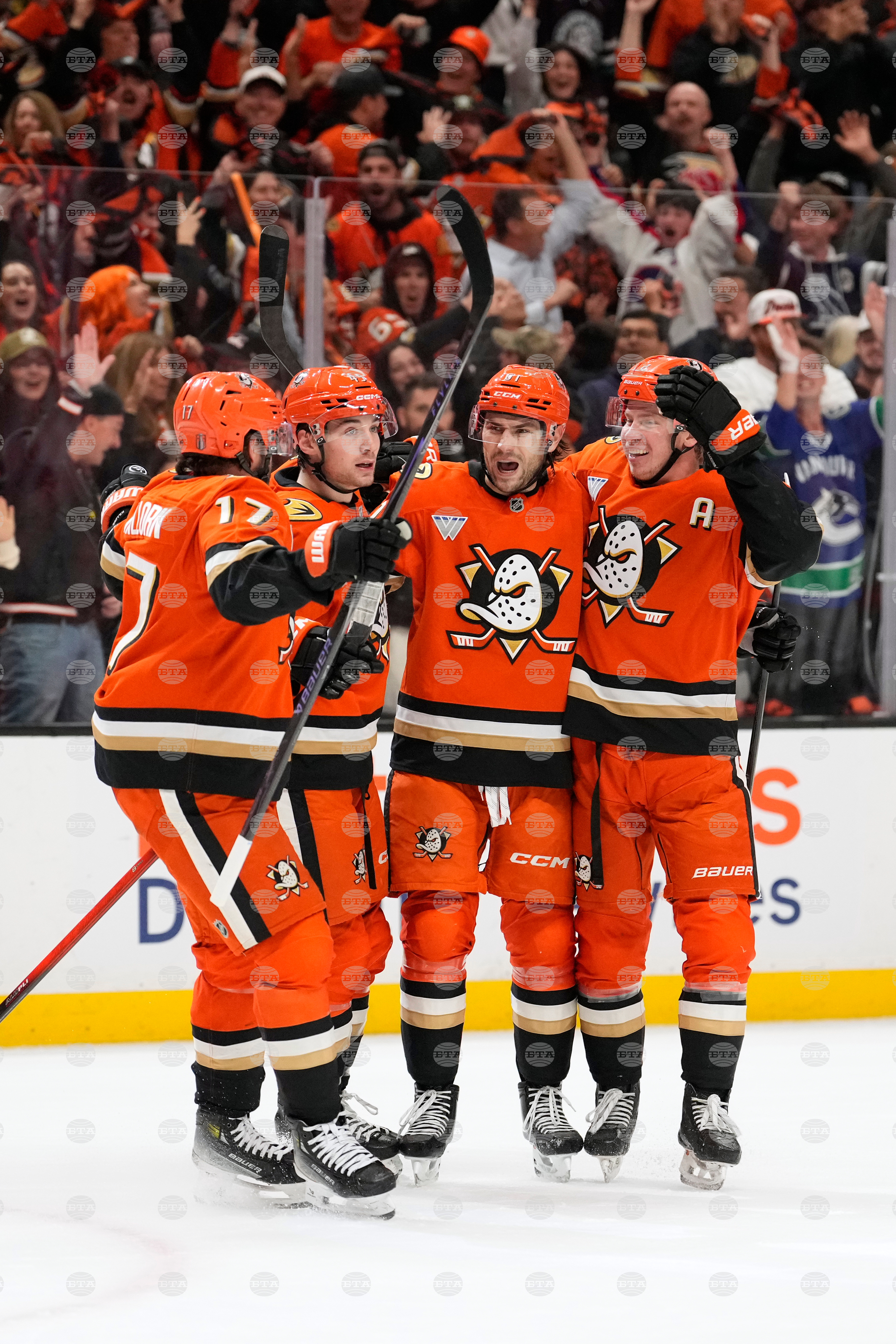 Oilers Ducks Hockey