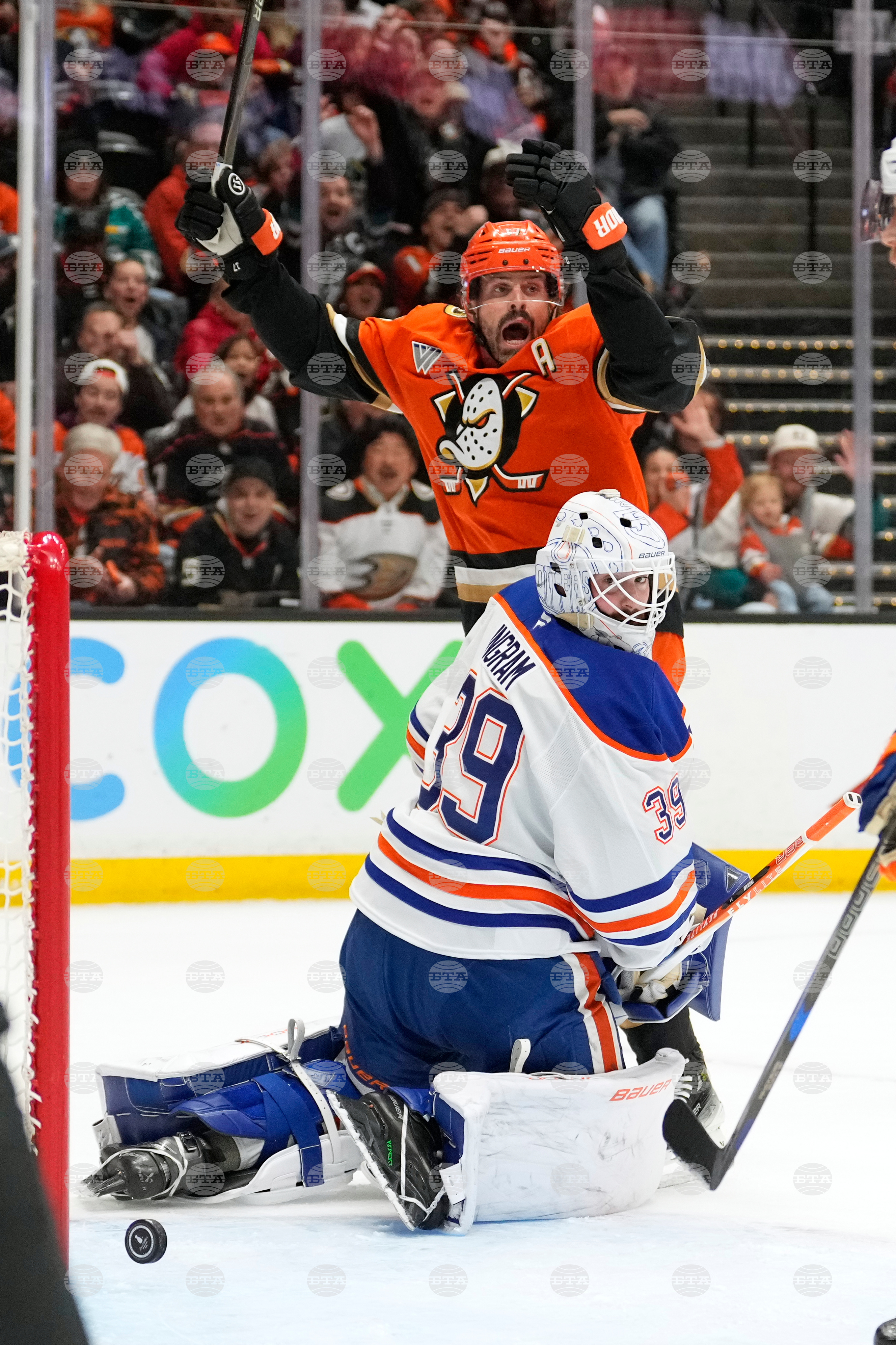 Oilers Ducks Hockey