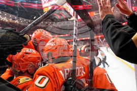 Oilers Ducks Hockey