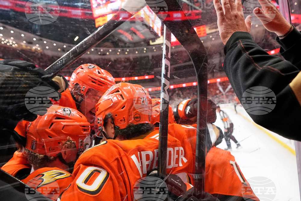 Oilers Ducks Hockey