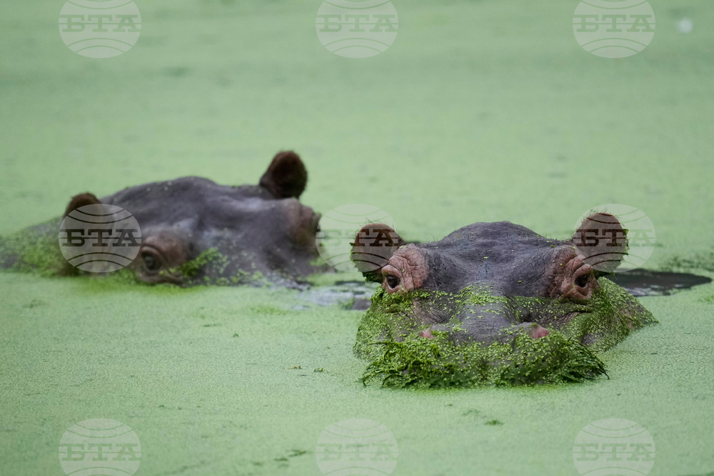 Pictures of the Week Latin America and Caribbean Photo Gallery