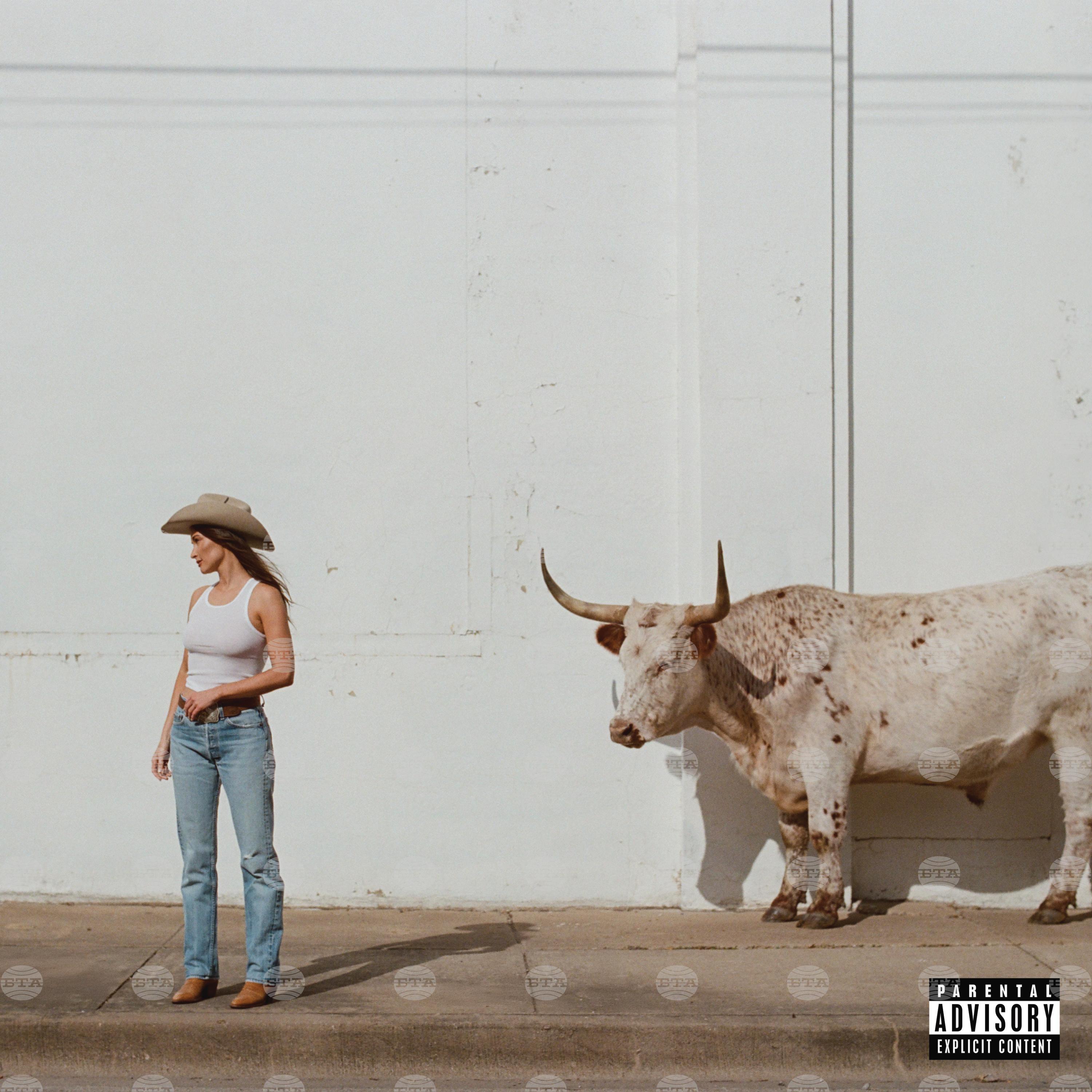 Music Review - Kacey Musgraves