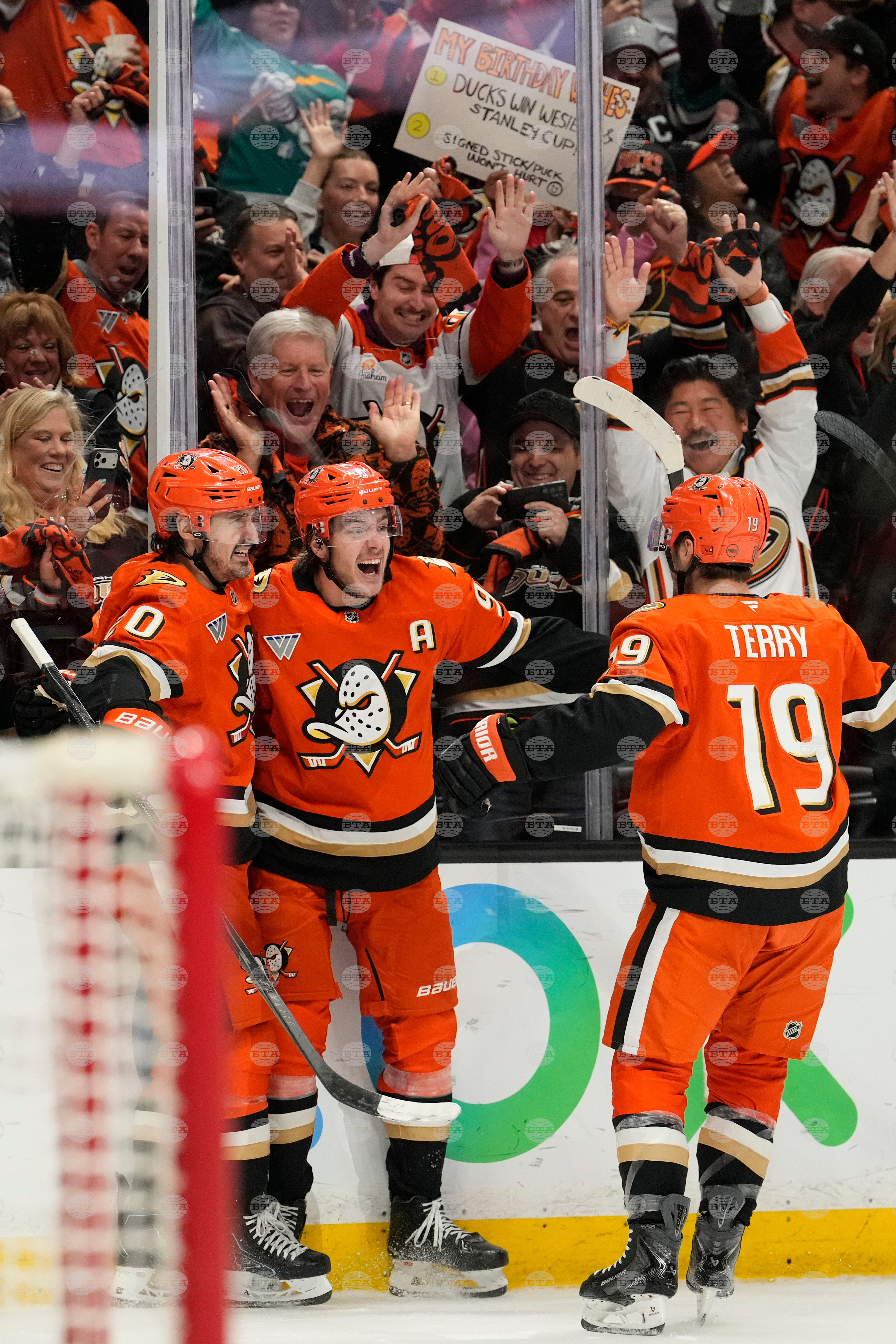 Oilers Ducks Hockey