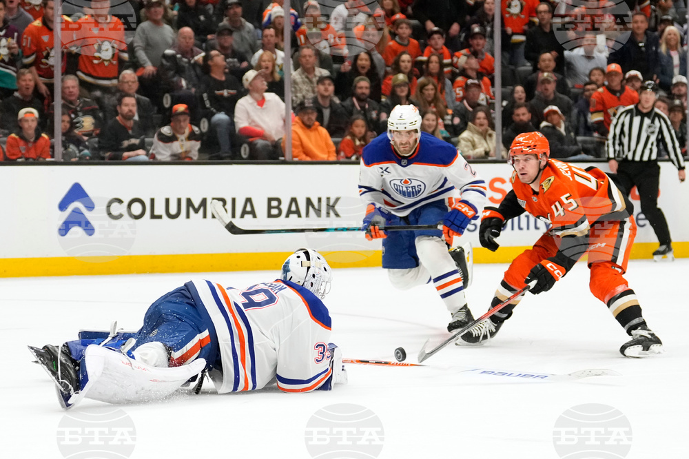 Oilers Ducks Hockey