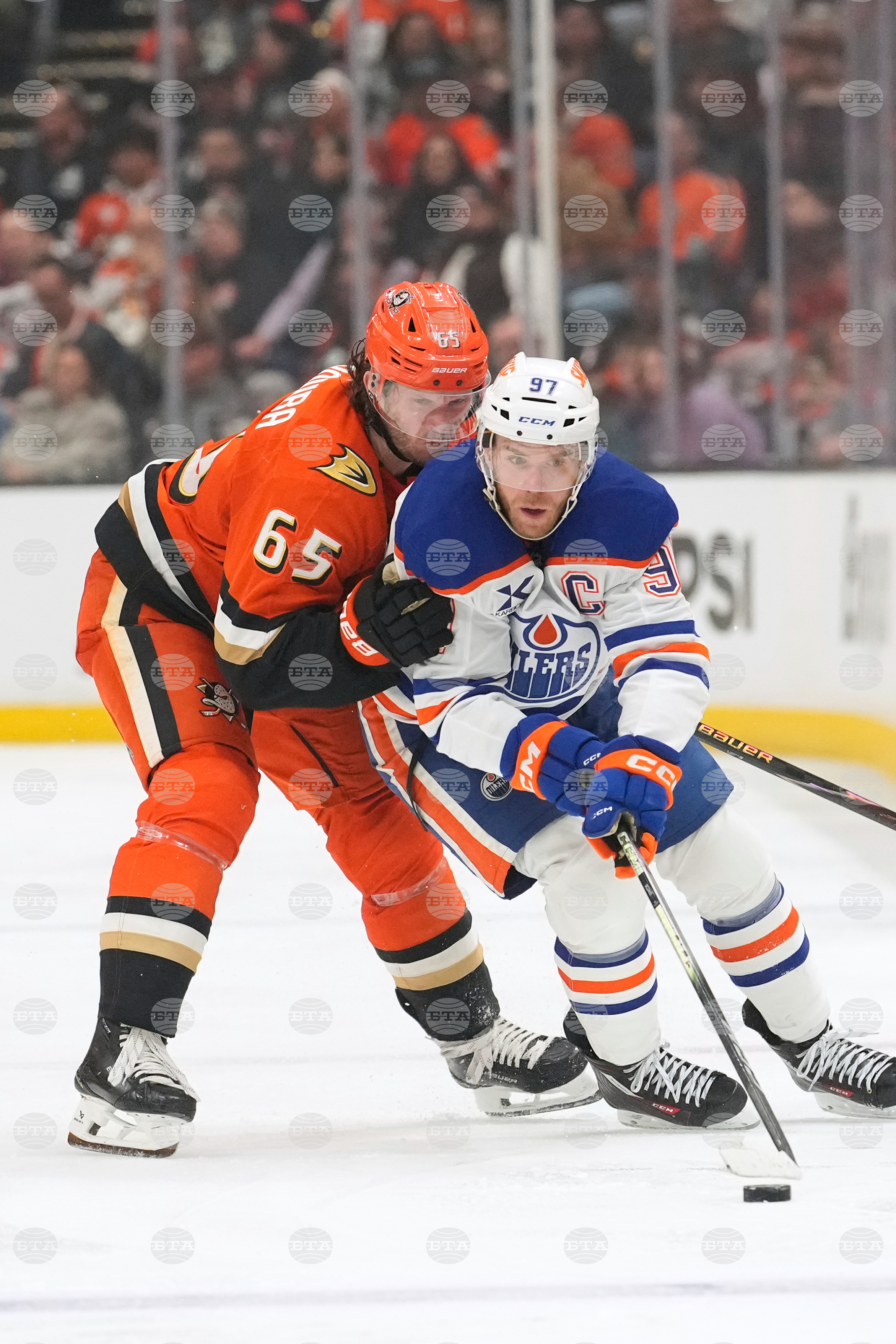Oilers Ducks Hockey