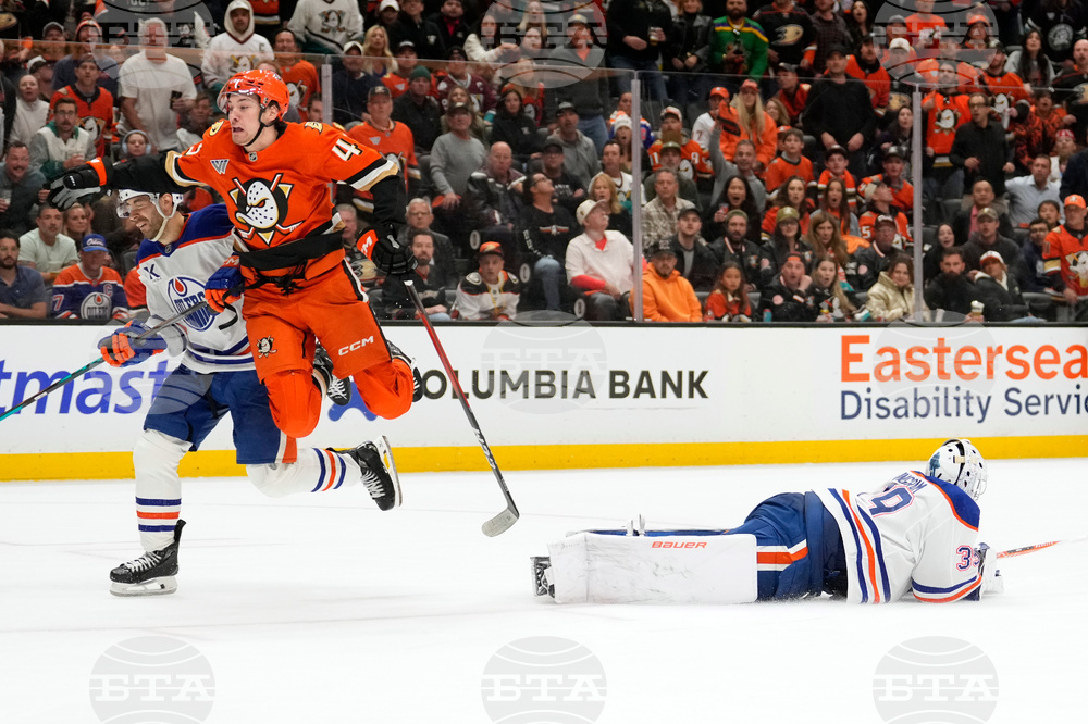 Oilers Ducks Hockey