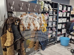Зад кулисите на Cirque du Soleil в София, снимки – Даниел Димитров/ БТА