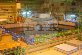 Japan Nuclear