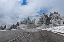 Габрово - Шипка - сняг
