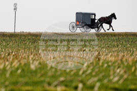 Amish Music
