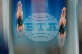 China Diving World Cup