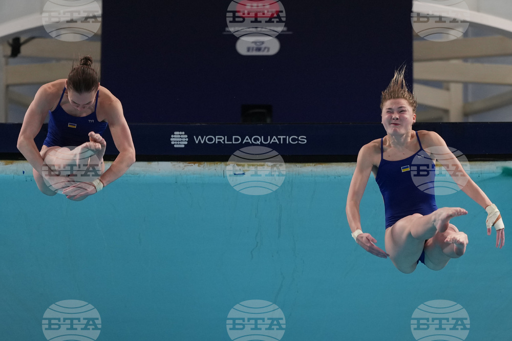 China Diving World Cup