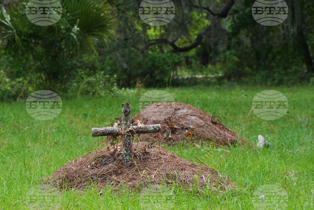 Climate Choices Dying Green
