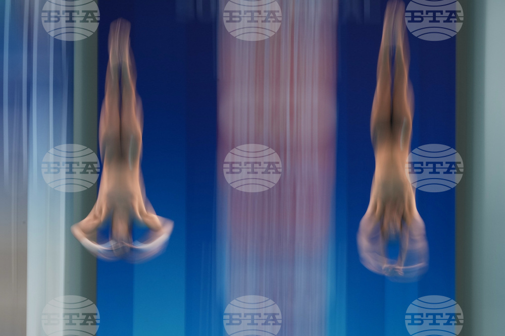 China Diving World Cup