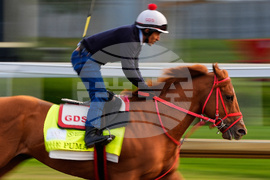 Kentucky Derby Horse Racing