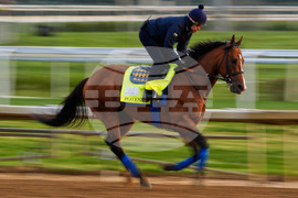 Kentucky Derby Horse Racing