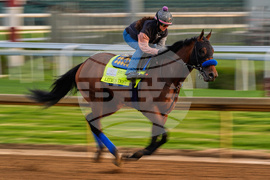 Kentucky Derby Horse Racing
