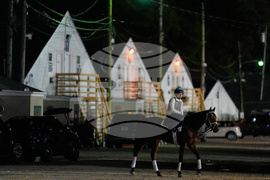 Kentucky Derby Horse Racing