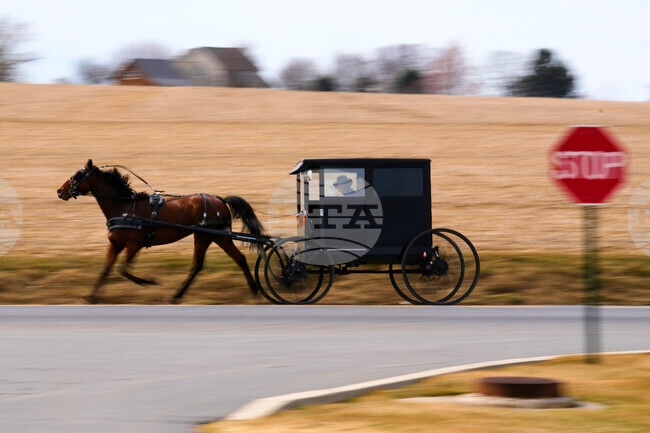 APTOPIX Amish Music