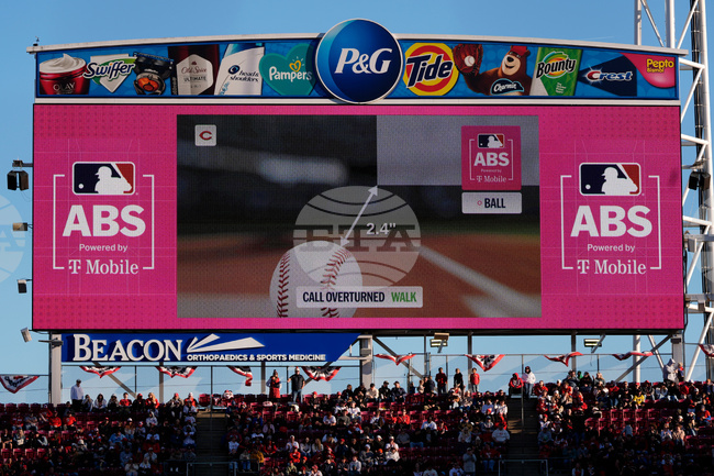 MLB Offense Baseball